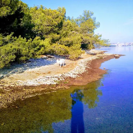 营地 Mit Pool Auf Dem Meer In Veruda 4 Personen 普莱曼图拉