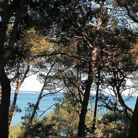 Mit Pool Auf Dem Meer In Veruda 4 Personen 普莱曼图拉